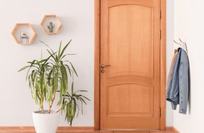 How to Choose the Perfect Entry Door for Your Home’s Aesthetic